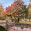 Latest News Featured Image